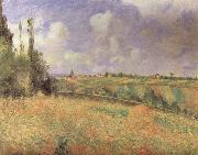 Rye Fields at Pontoise Camille Pissarro